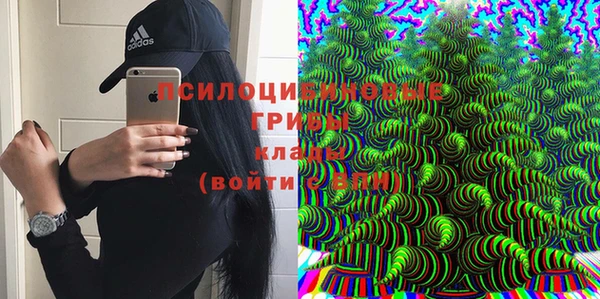 МДПВ Няндома