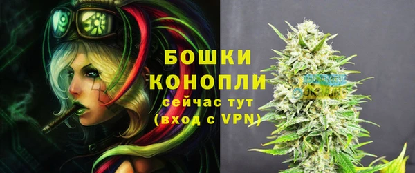 ГАЛЛЮЦИНОГЕННЫЕ ГРИБЫ Нязепетровск
